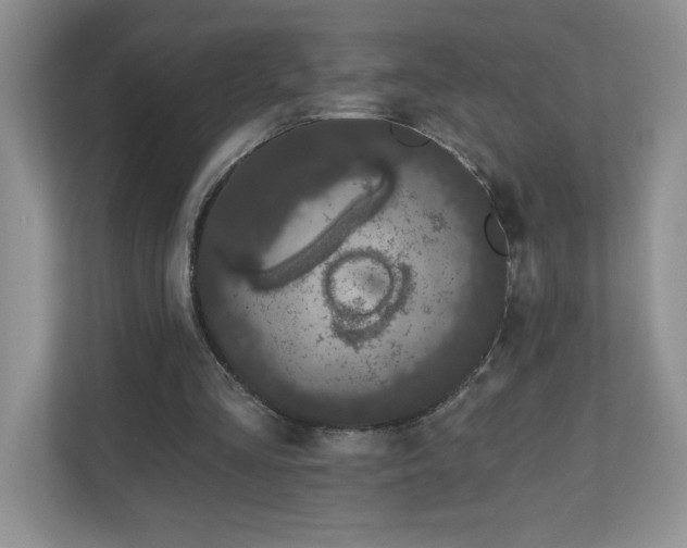 X0000111180293200907011415