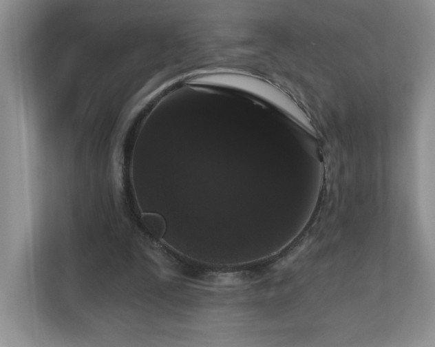 X0000111180295200907011415