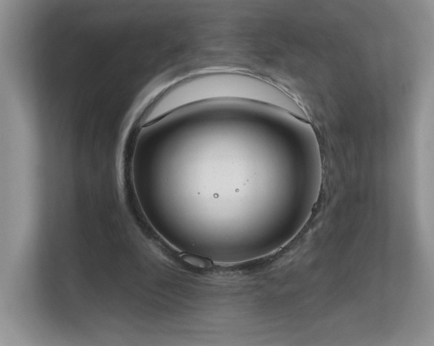 X0000111180296200907011415