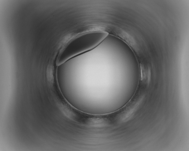 X0000111180300200907011415