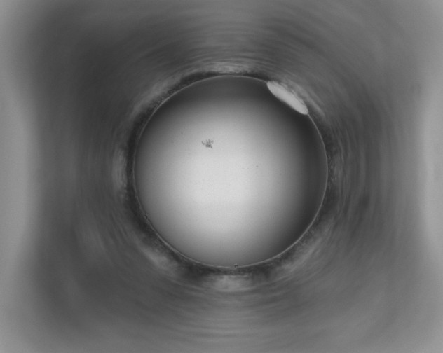 X0000111180303200907011415