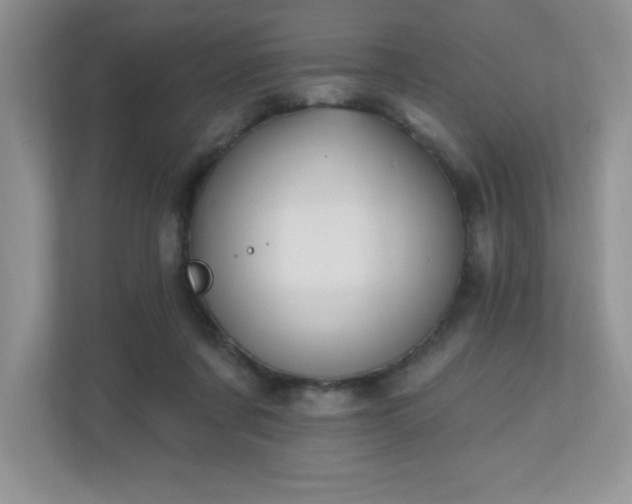 X0000111180311200907011415