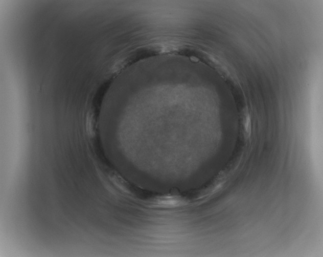 X0000111180316200907011415