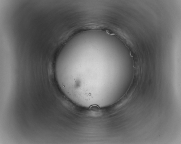 X0000111180317200907011415