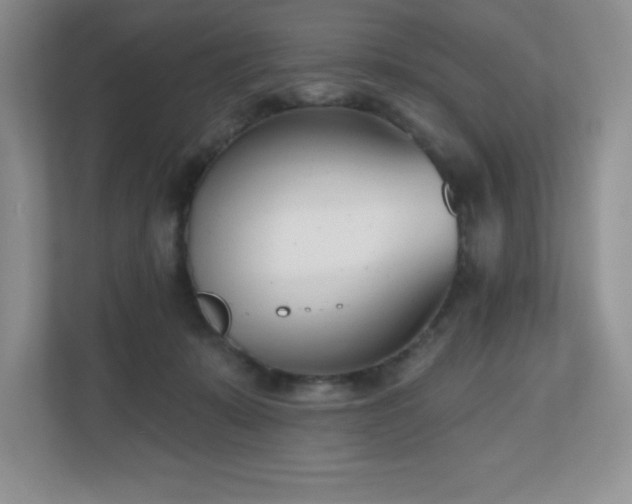 X0000111180319200907011415