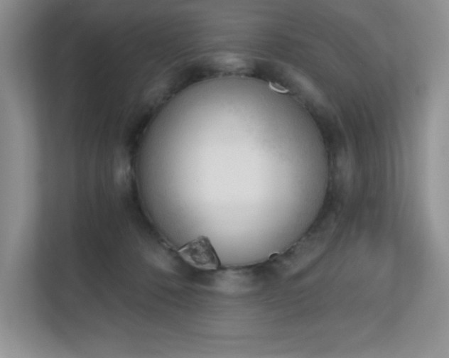 X0000111180320200907011415