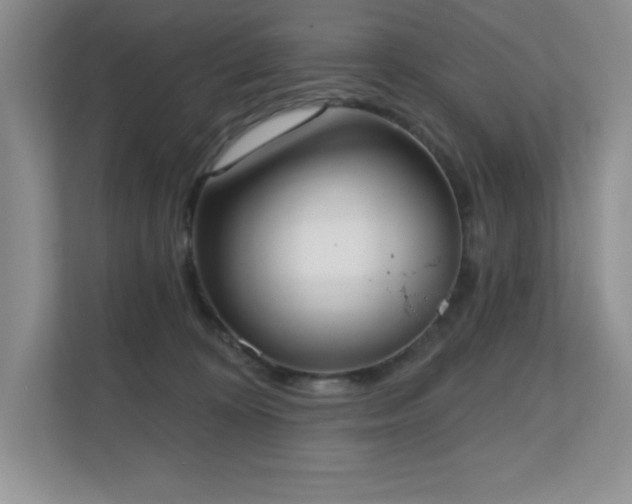 X0000111180324200907011415