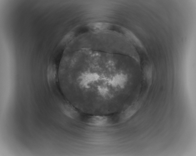 X0000111180328200907011415