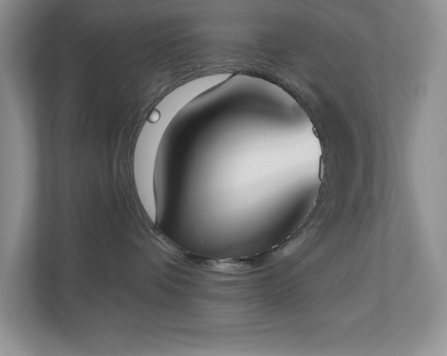 X0000111180336200907011415