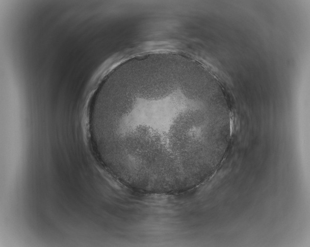 X0000111180339200907011414