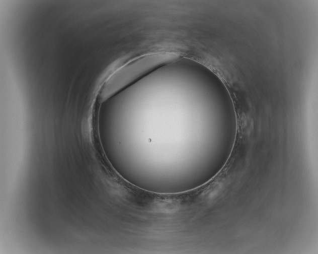 X0000111180340200907011414