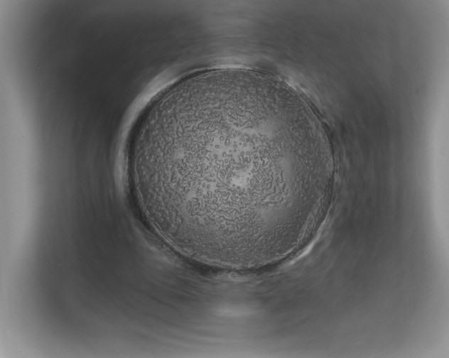 X0000111180343200907011414