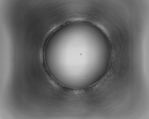 X0000111180345200907011414