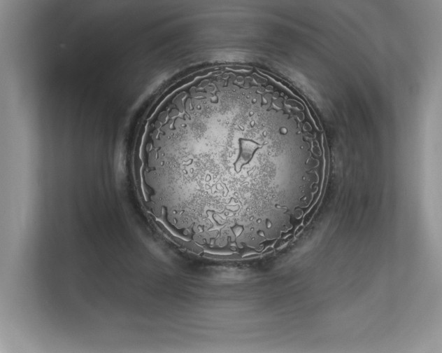 X0000111180347200907011414