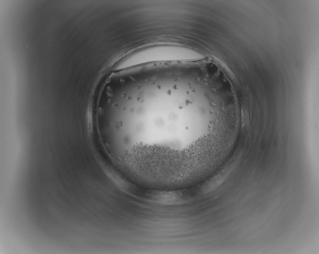 X0000111180349200907011414