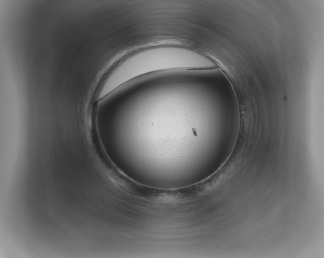 X0000111180350200907011414