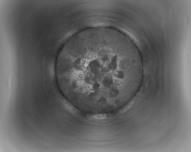 X0000111180353200907011414