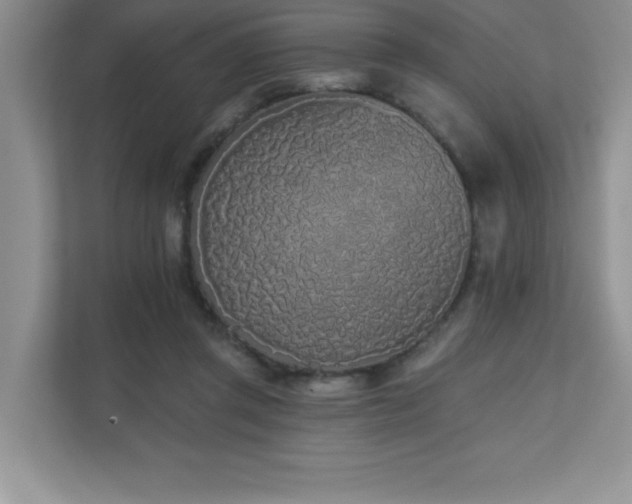 X0000111180357200907011414