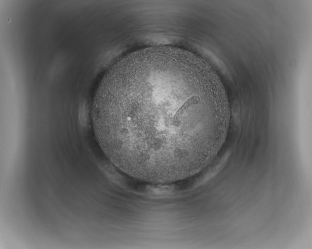 X0000111180359200907011414