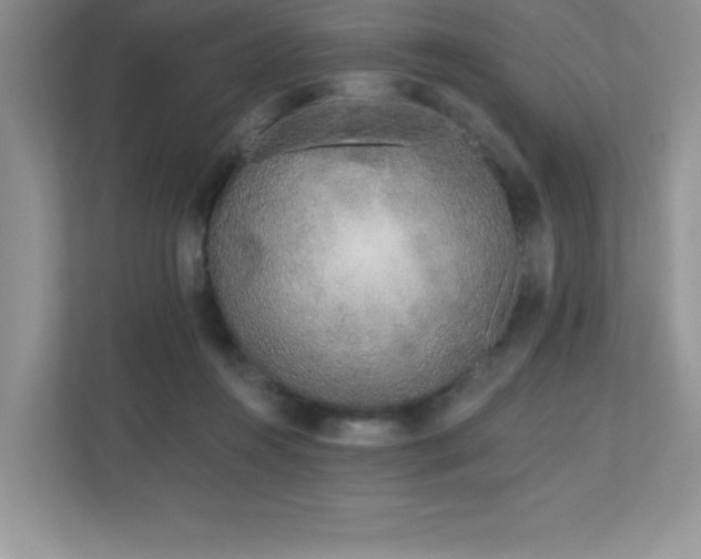 X0000111180360200907011414