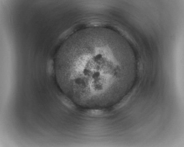 X0000111180361200907011414