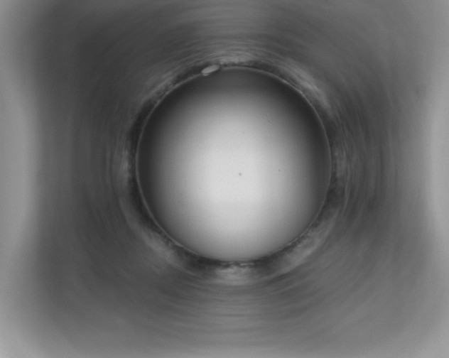 X0000111180362200907011414