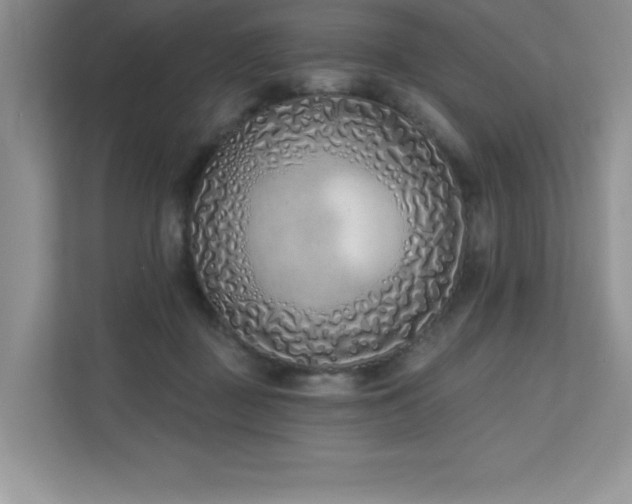 X0000111180363200907011414