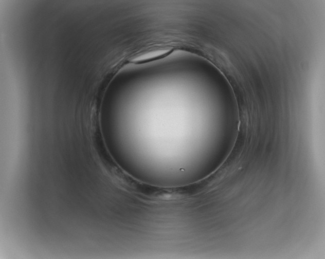 X0000111180364200907011414