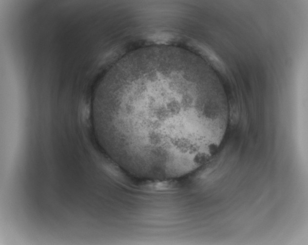 X0000111180365200907011414