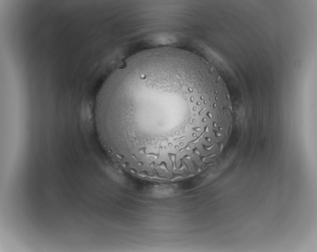 X0000111180373200907011415