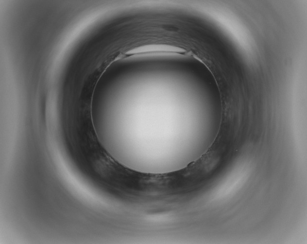 X0000111180383200907011415