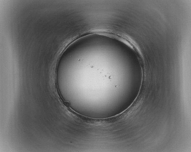 X0000111180385200907011414