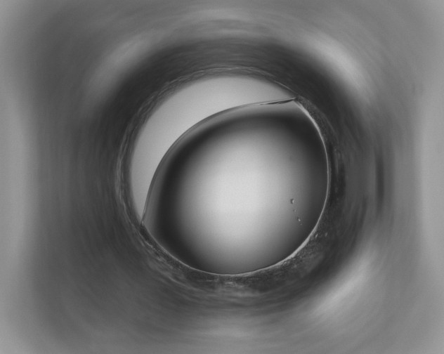 X0000111180387200907011414