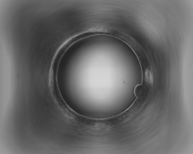 X0000111180388200907011414