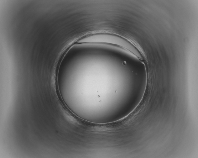 X0000111180389200907011414