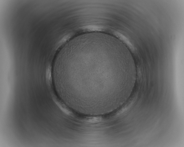 X0000111180398200907011414