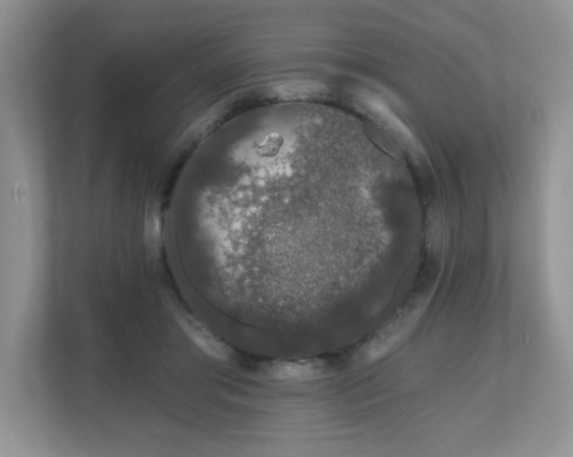 X0000111180405200907011414