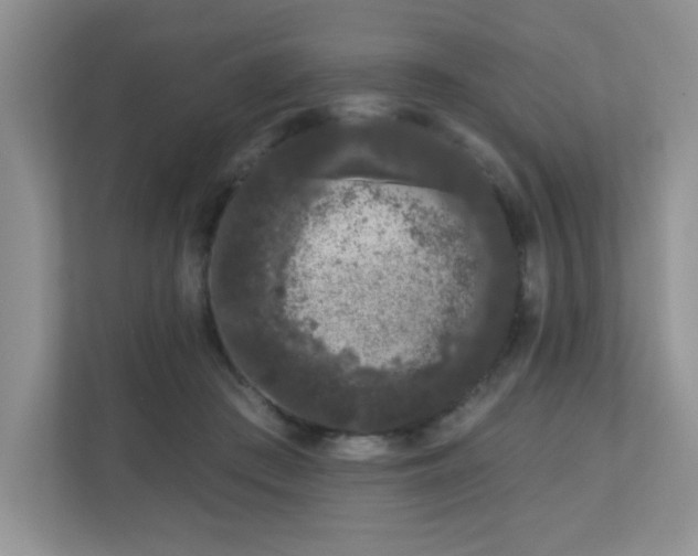 X0000111180409200907011414