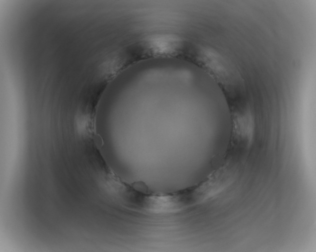 X0000111180419200907011414