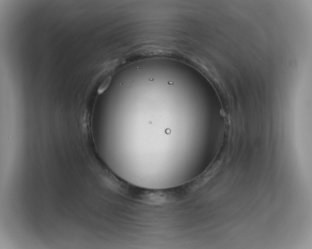 X0000111180423200907011414