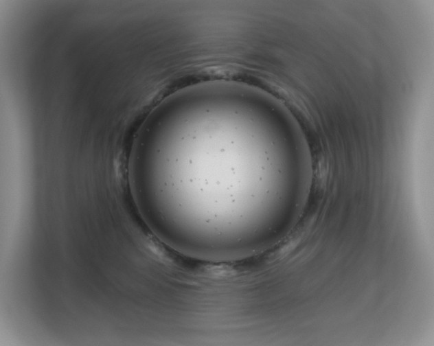 X0000111180424200907011414