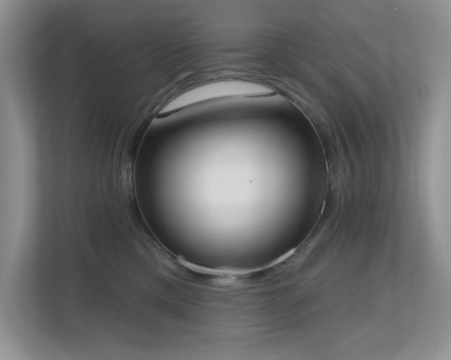 X0000111180425200907011414