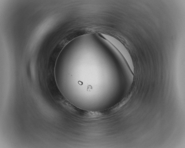 X0000111180429200907011414