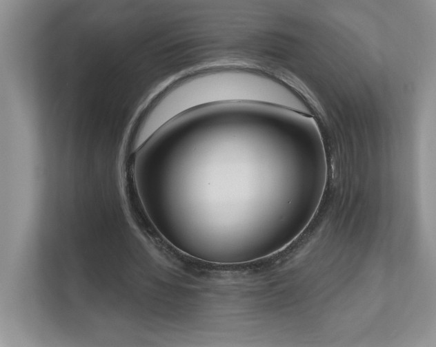 X0000111180436200907011413