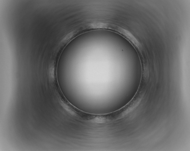 X0000111180441200907011413