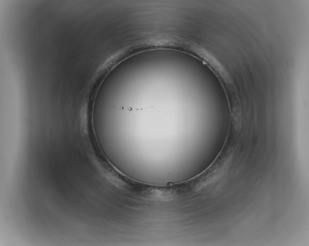 X0000111180442200907011413