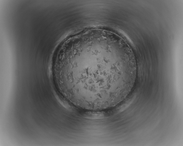 X0000111180443200907011413