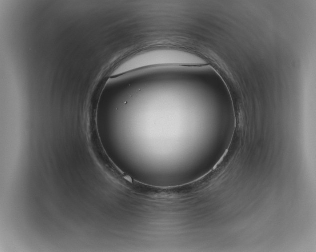 X0000111180444200907011413