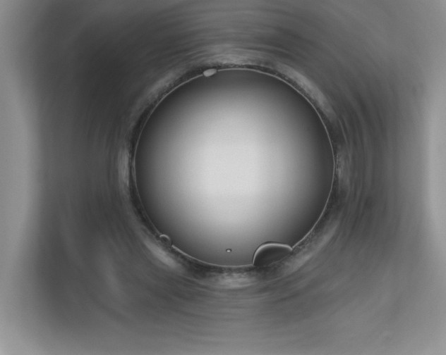 X0000111180445200907011413