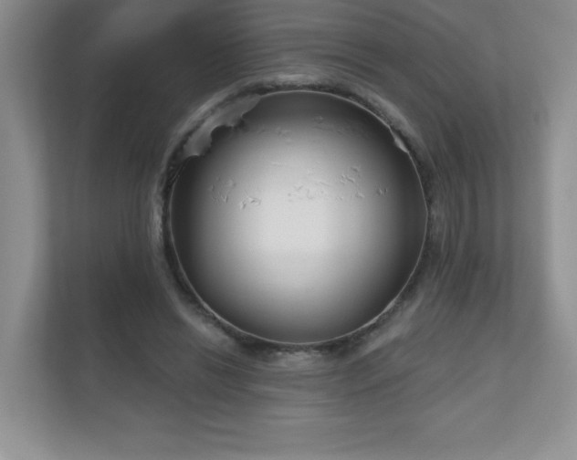 X0000111180446200907011413